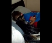 VIDEO FABULOS! Copilul tocmai s-a intors din tabara. Reactia pisicii a fost INCREDIBILA