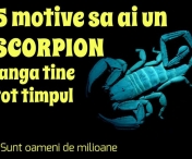 Cele mai bune motive sa ai un Scorpion langa tine