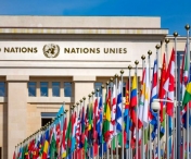 Statele membre ale ONU au aprobat primul tratat de combatere a criminalităţii cibernetice