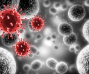 Coronavirusuri inrudite cu SARS infecteaza anual peste 60.000 de persoane in Asia de Sud-Est, potrivit unui studiu