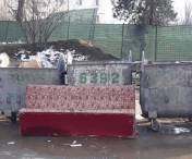 Firme si asociatii de proprietari controlate daca arunca gunoiul selectiv, la Timisoara