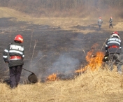 Incendiu puternic de vegetatie intre Timisoara si Dumbravita