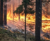 Avertisment MAE: Incepand de joi va fi risc ridicat de incendii in mai multe regiuni din Grecia