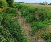 Debite și niveluri mici pe principalele cursuri de apă din Banat, Bega, Timiș, Bârzava, Caraș și Nera