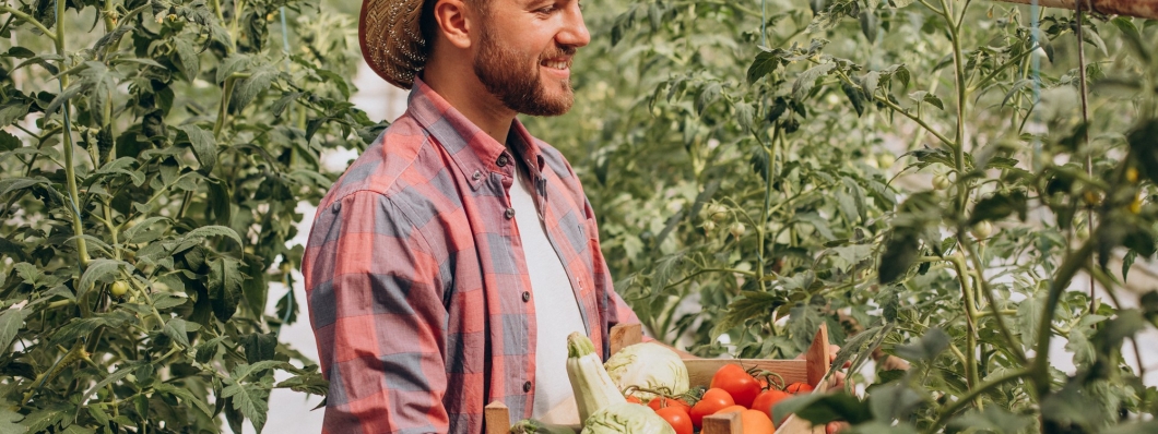 Cum refaci nutrienții pământului din solar după un ciclu intens de cultură?