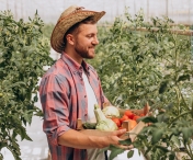 Cum refaci nutrienții pământului din solar după un ciclu intens de cultură?