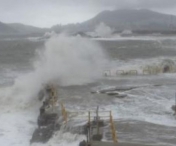 Taifunul Goni a ajuns in Japonia. Sunt zeci de raniti - VIDEO