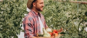 Cum refaci nutrienții pământului din solar după un ciclu intens de cultură?