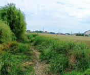 Debitele și nivelurile pe principalele cursuri de apă din Banat sunt la cote minime