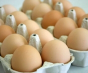Ce indica cifrele de pe oua