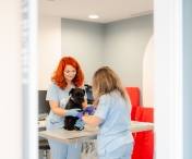 Spital veterinar non-stop, cu chirurgie, imagistică și terapie intensivă, se deschide sâmbătă, 5 septembrie, în Iulius Town