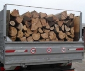OPRITI MACELUL din paduri! Camioneta care transporta ilegal lemne, surprinsa la Lugoj