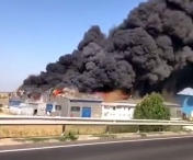 Milioane de euro paguba dupa incendiul violent de langa Timisoara. Ce s-a intamplat cu muncitorii si de la ce a pornit valvataia