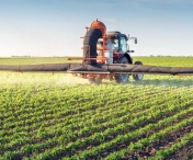 APIA primeşte cereri de acordare a grantului în domeniul agricol vegetal, în perioada 29 ianuarie - 8 martie