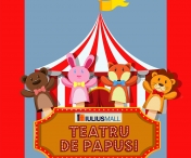 Duminici distractive pentru copii, cu teatru de papusi, la IULIUS MALL