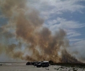DEZASTRU ECOLOGIC! Zeci de hectare de vegetatie au ars in zona plajei de la Vadu, in Rezervatia Biosfera Delta Dunarii
