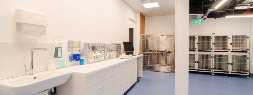 Nou la Iulius Town Timișoara. S-a deschis Spitalul Veterinar Transilvania