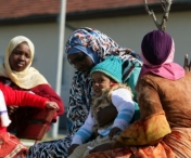 Timisoara ajuta refugiatii! Tone de alimente au plecat spre Ungaria