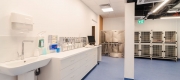Nou la Iulius Town Timișoara. S-a deschis Spitalul Veterinar Transilvania