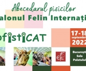 SofistiCAT – Salonul Felin International Bucuresti revine la Sala Palatului cu editia speciala “Abecedarul Pisicilor”  