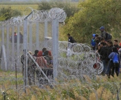 Consilier CJ Timis: Construirea unui gard in fata migrantilor, la frontiera de vest, nu este o solutie