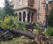 Stare de urgenta in Timis dupa furtuna devastatoare. Celula de criza la nivelul Ministerului de Interne