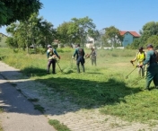  Spațiile verzi din zona unităților de învățământ din Timișoara au prioritate la îngrijire