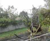 Bilant al pagubelor la Timisoara, dupa FURTUNA violenta de duminica: Mii de copaci distrusi, 17 scoli si 3 spitale afectate