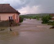 Ploile torentiale au facut prapad in Arad
