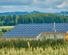 Piața energiei regenerabile este încurcată de speculanți, potrivit ministrului Energiei, Sebastian Burduja