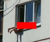 FOTO INCREDIBIL! Tipa asta s-a urcat in fundul gol pe geam, ca sa se bronzeze. Un vecin a surprins imaginea