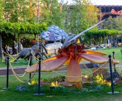 Expoziția educativă „Giant Bugs” aduce în Iulius Town o lume nevăzută, mărită de mii de ori