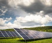 Parc fotovoltaic la Covaci. Consiliul Judetean vrea sa-si acopere consumul din surse regenerabile
