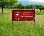 Hunedoara: Seminte de plante si esantioane de roci, reunite intr-o banca specială a Geoparcului Dinozaurilor