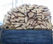 Transporturi ilegale de lemne depistate de politistii timiseni