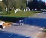VIDEO SOCANT cu momentul impactului! Un motociclist a intrat cu viteza in plin intr-o cireada de vaci, in Timis