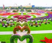 "Dubai Miracle Garden" se muta la Timisoara
