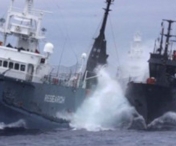 Incident naval in Marea Nordului. Trei marinari dati disparuti dupa ciocnirea a doua nave