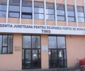 AJOFM Timis participa la Targul transfrontalier al carierelor profesionale, in Ungaria