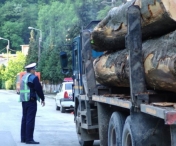 Un politist din Neamt a refuzat o mita uriasa pentru un transport ilegal de lemne. Le-a luat si lemnul si masina si le-a dat o amenda sa-l tina minte toata viata