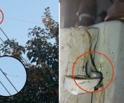 Peste 30 de cazuri de furturi de gaze naturale s-au constatat în Banat, în primele 9 luni ale acestui an