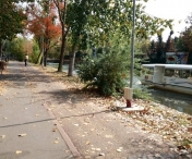 Cum va fi vremea în următoarele patru săptămâni