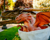  GALERIE FOTO: 17 dragoni animatronici transformă Iulius Gardens într-un tărâm magic