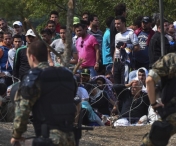 Zeci de migranti sirieni prinsi de politisti in zona localitatii timisene Pustinis