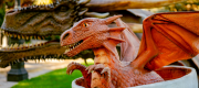  GALERIE FOTO: 17 dragoni animatronici transformă Iulius Gardens într-un tărâm magic