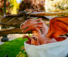  GALERIE FOTO: 17 dragoni animatronici transformă Iulius Gardens într-un tărâm magic