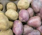 Tu stii care este diferenta dintre cartofii albi si cei rosii? Afla aici si vezi cum sa-i alegi corect