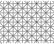 Testul care a innebunit internautii! Cate puncte negre vezi in imagine. Nimeni nu a reusit sa dea raspunsul corect!