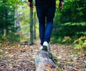 S-a ratacit in padure si a sunat la 112! Barbatul era beat si s-a pierdut, dandu-le salvatorilor o locatie gresita