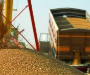 Franta analizeaza rute terestre pentru transportul cerealelor din Ucraina prin Romania si Polonia